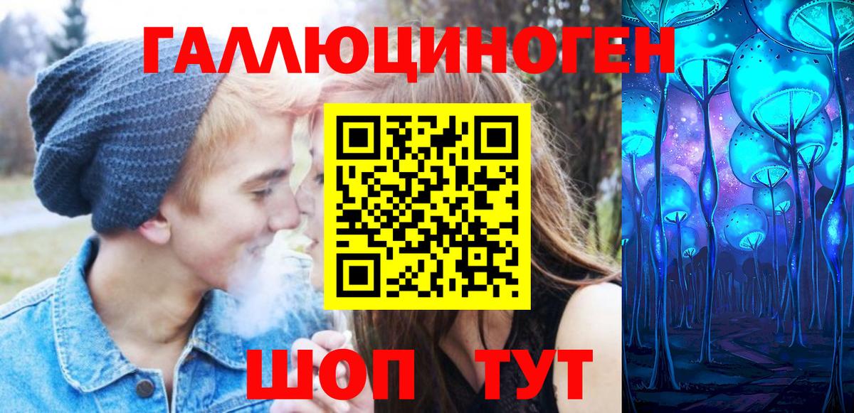 Псилоцибиновые грибы Psilocybine cubensis Зима